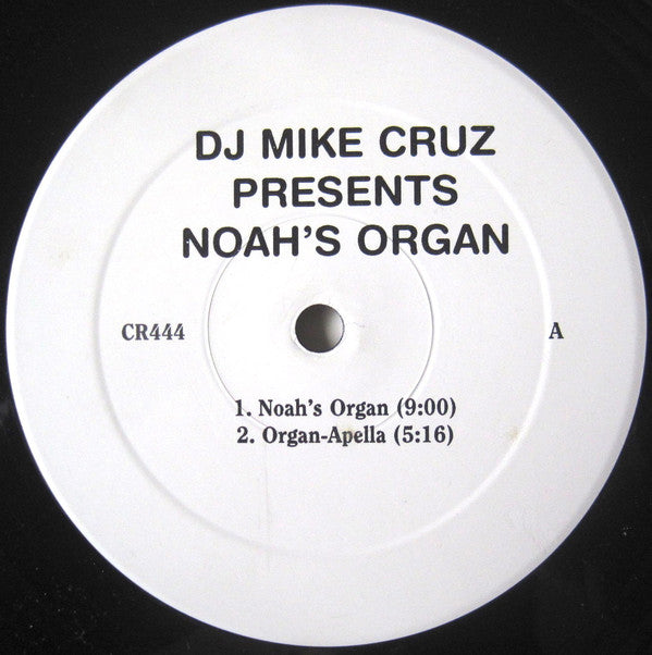 Mike Cruz : Noah's Organ / Ferdi's Synth Ride (12