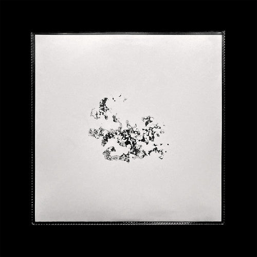 Șerb : Transient Recs 2 (12