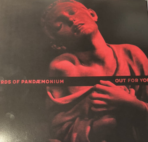 Birds Of Pandaemonium : Out For You (12