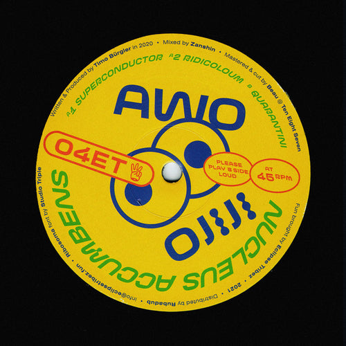 Awo Ojiji : Nucleus Accumbens (12