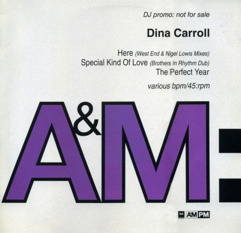 Dina Carroll : Here / Special Kind Of Love / The Perfect Year (2x12