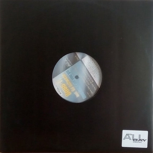 Bass-T.* feat. DJ Schwede : How Low Can You Go (12