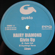 Load image into Gallery viewer, Hairy Diamond : Givin Up (12&quot;)

