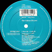 Load image into Gallery viewer, The Colour Of Love : Living Love (12&quot;)
