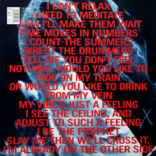 Load image into Gallery viewer, Starving Souls : I Be The Prophet EP (12&quot;, EP)
