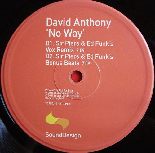 David Anthony : No Way (12