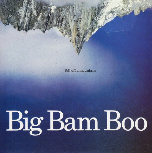 Big Bam Boo : Fell Off A Mountain (12