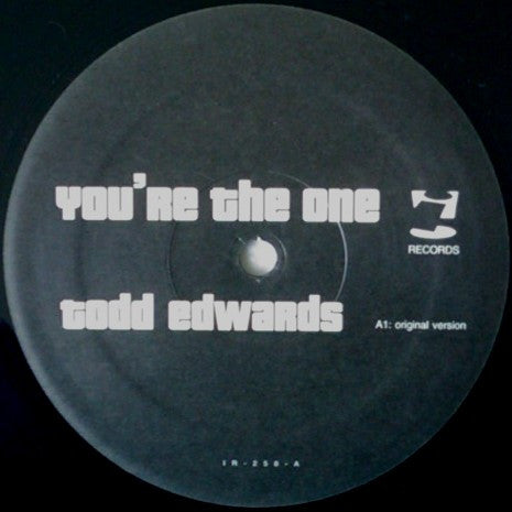 Todd Edwards : You're The One (12