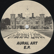 Load image into Gallery viewer, Fionn &amp; Paul Harris : The Aural Art E.P. (12&quot;, EP)
