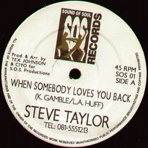 Steve Taylor (31) Featuring Ciyo : When Somebody Loves You Back (12