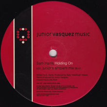 Load image into Gallery viewer, Sam Harris (2) : Holding On (12&quot;)
