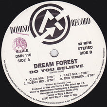 Load image into Gallery viewer, Dream Forest (2) : Do You Believe (12&quot;)
