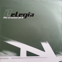 Load image into Gallery viewer, Elegia : The Essence Of It (12&quot;)
