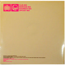 Load image into Gallery viewer, Captain Hollywood : Flying High (12&quot;)
