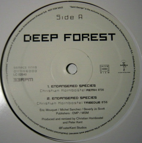 Deep Forest : Endangered Species (Christian Hornbostel Remixes) (12