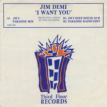 Load image into Gallery viewer, Jim Demi : I Want You (12&quot;)
