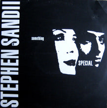 Load image into Gallery viewer, Stephen Duffy And Sandii : Something Special (12&quot;)
