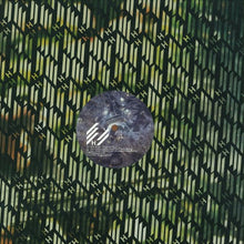 Load image into Gallery viewer, Alex Jones (3) : Higher Level (12&quot;)
