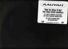 Load image into Gallery viewer, Aaliyah : Got To Give It Up (The Todd Terry Remixes) (12&quot;, Promo)
