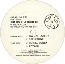 Load image into Gallery viewer, House Junkie : Transluscent (12&quot;)
