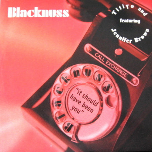 Blacknuss Featuring Titiyo And Jennifer Brown : It Should Have Been You (12