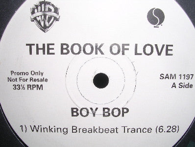 Book Of Love : Boy Pop (12