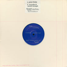 Load image into Gallery viewer, H.S.O. : H.S.Overload EP (12&quot;)
