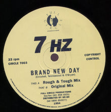 Load image into Gallery viewer, 7 HZ : Brand New Day (12&quot;)
