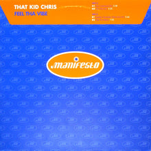 Load image into Gallery viewer, That Kid Chris : Feel Tha Vibe (12&quot;, Single)
