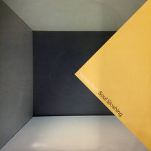 Load image into Gallery viewer, Venus Hum : Soul Sloshing (12&quot;, Maxi, Promo)
