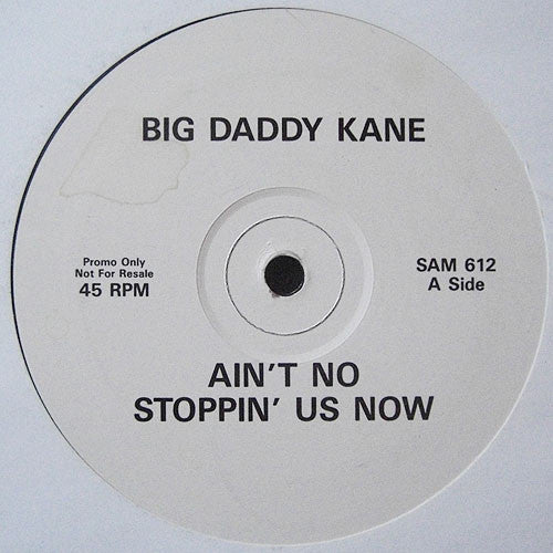 Big Daddy Kane : Ain't No Stoppin' Us Now (12