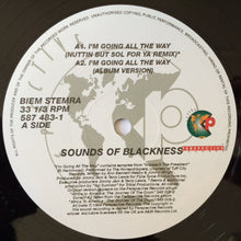 Load image into Gallery viewer, Sounds Of Blackness : I&#39;m Going All The Way / Everything&#39;s Gonna Be Alright (2x12&quot;)

