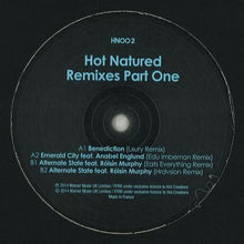 Load image into Gallery viewer, Hot Natured : Remixes Part One (12&quot;)
