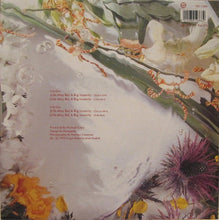 Load image into Gallery viewer, Sandra : (Life May Be) A Big Insanity (12&quot;)
