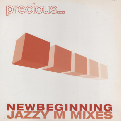 Precious (2) : New Beginning (Jazzy M Mixes) (12