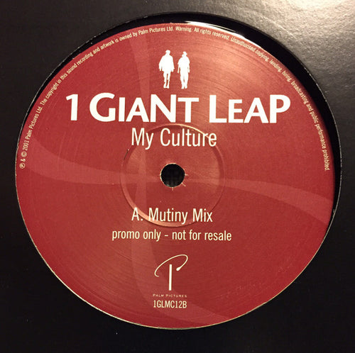 1 Giant Leap : My Culture (12