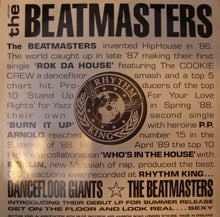 Load image into Gallery viewer, The Beatmasters : Anywayawanna (Album Sampler) (12&quot;, Promo, Smplr)

