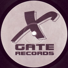Load image into Gallery viewer, Brother Grim : Survive / Radiate (12&quot;)
