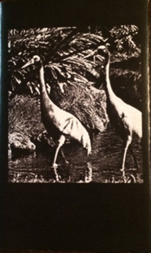 Essel : In Search Of Excellence (Cass, Album)