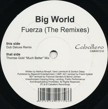 Load image into Gallery viewer, Big World : Fuerza (The Remixes) (12&quot;)

