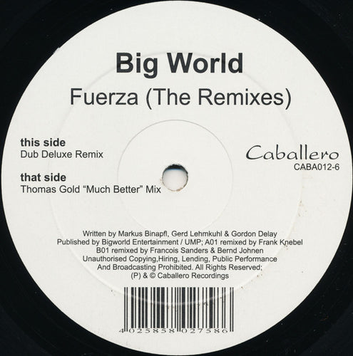 Big World : Fuerza (The Remixes) (12