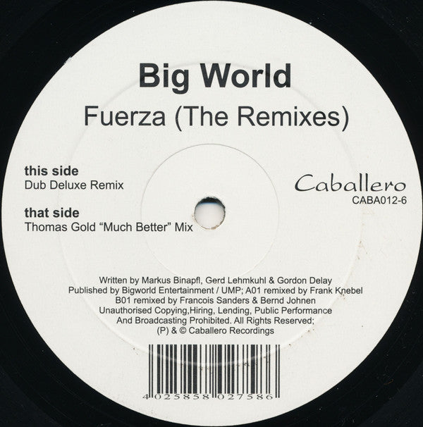 Big World : Fuerza (The Remixes) (12
