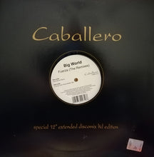 Load image into Gallery viewer, Big World : Fuerza (The Remixes) (12&quot;)
