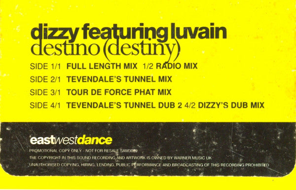 Dizzy (2) Featuring Luvain* : Destino (Destiny) (2x12