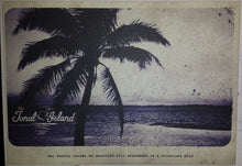 Load image into Gallery viewer, L. Collins, Casau : Tonal Island Records Sampler Vol. 1 (12&quot;, Ltd, Num, W/Lbl)
