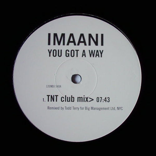 Imaani : You Got A Way (Todd Terry Remixes) (12