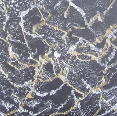 Lutto Lento : Dog Leaf  (12