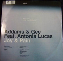 Load image into Gallery viewer, Addams &amp; Gee Feat. Antonia Lucas : Joy &amp; Pain (12&quot;)
