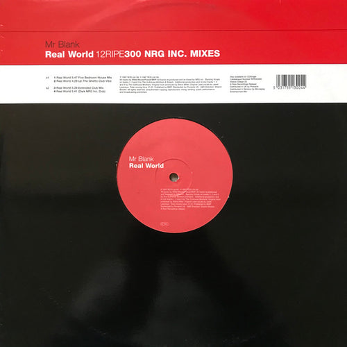 Mr. Blank : Real World (12