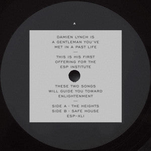 Damien Lynch : The Heights / Safe House (12